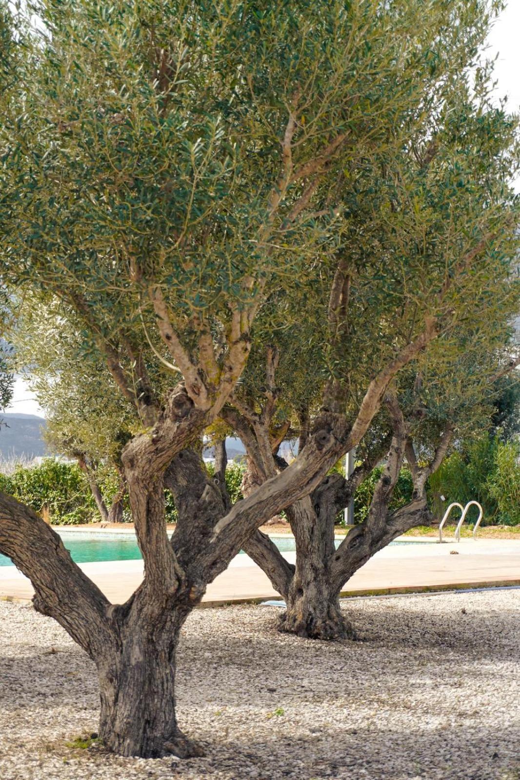 Hotel Finca Olivar Benissa Exterior photo