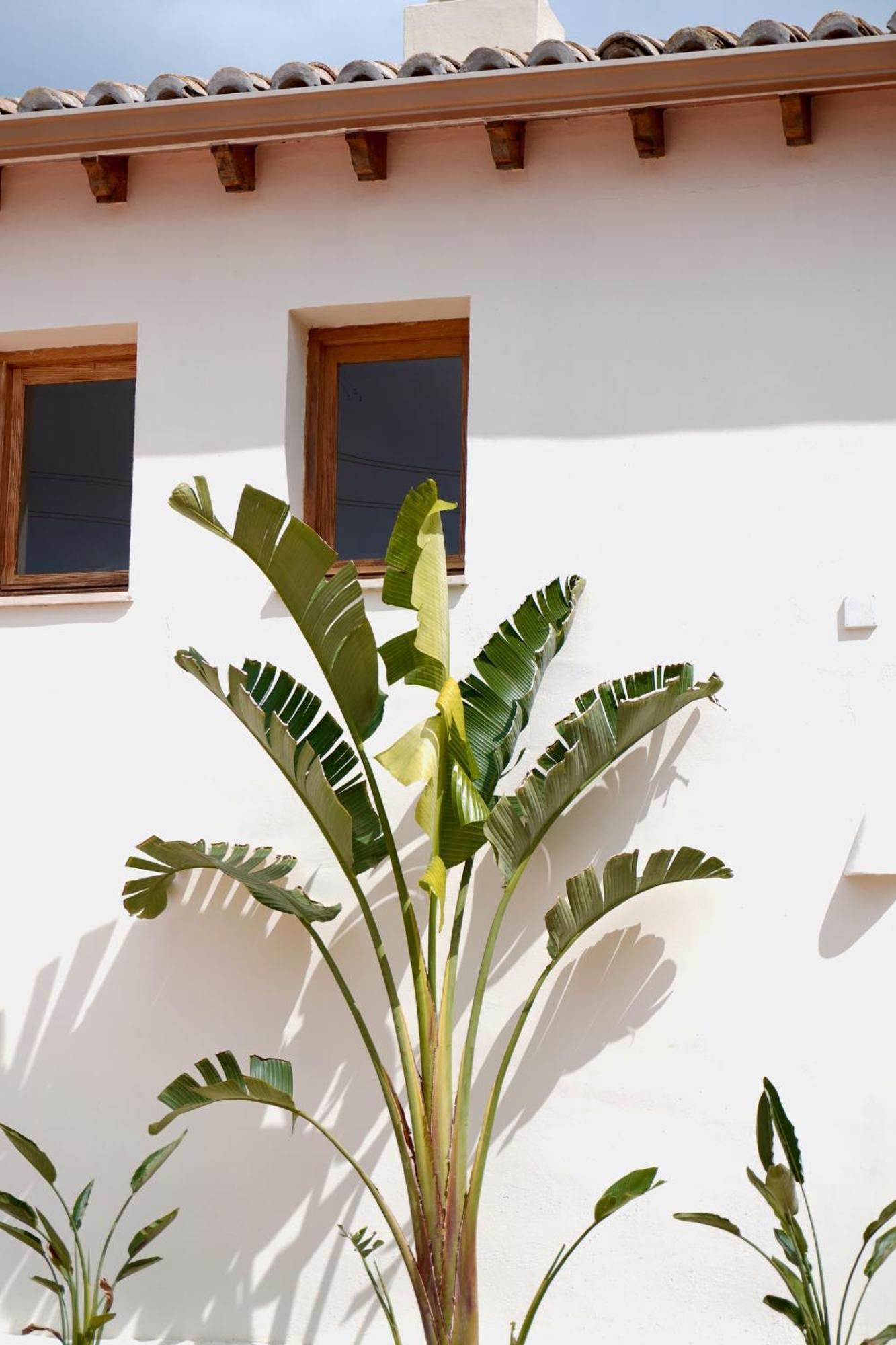 Hotel Finca Olivar Benissa Exterior photo